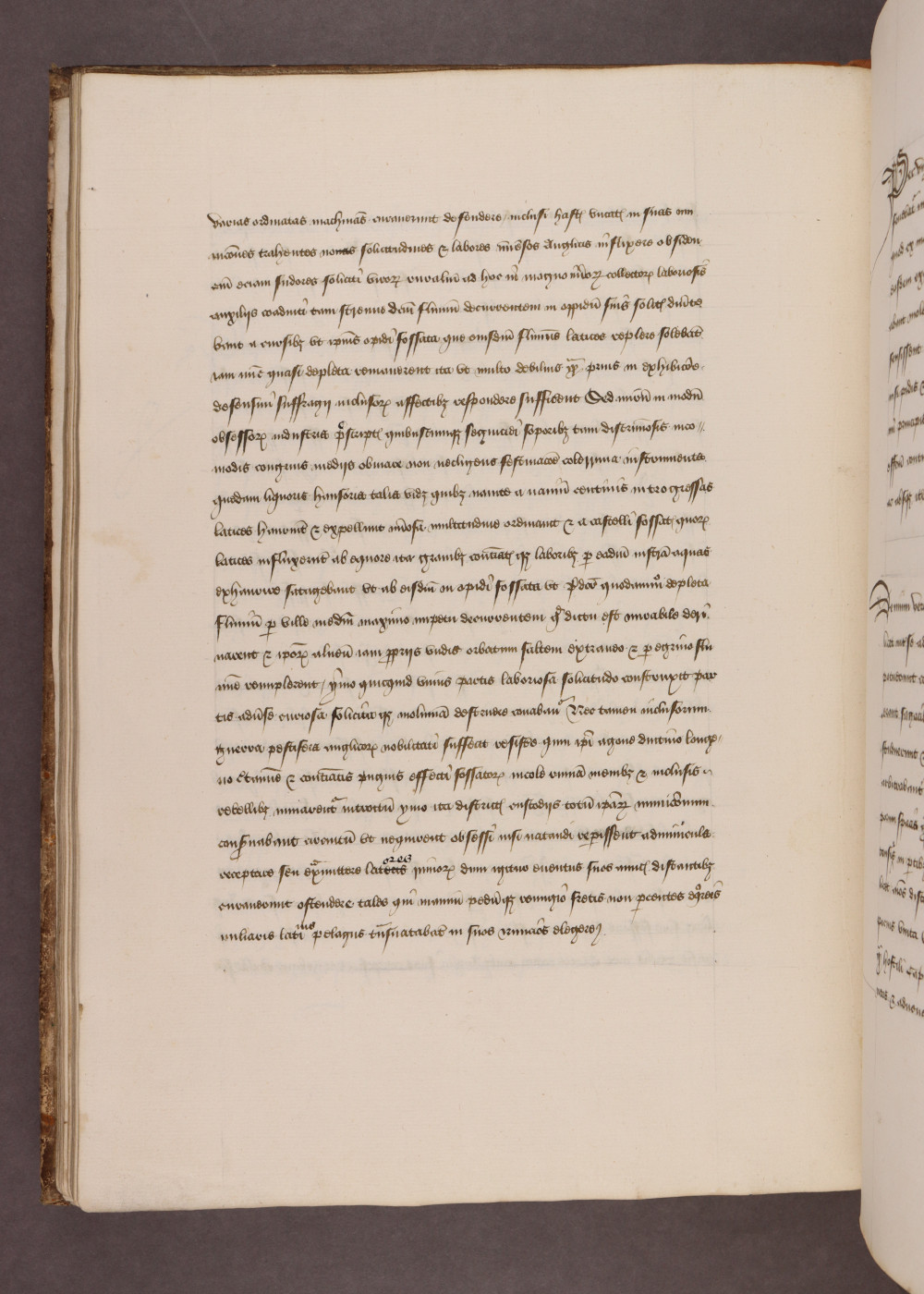 Folio 51  verso